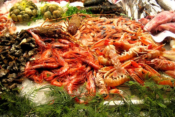 Galicia Seafood